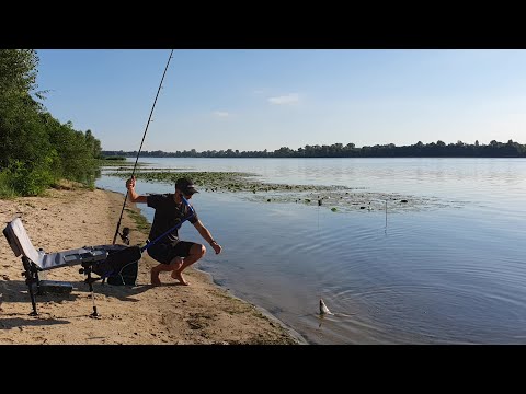 Видео: Фидер на реке Днепр/Подлещик Плотва/Видеоотчет Сентябрь 2022