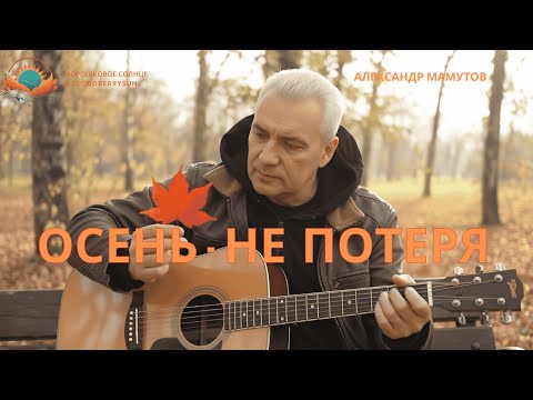 Видео: Александр Мамутов — Осень не потеря | Морошковое солнце (@cloudberrysun)