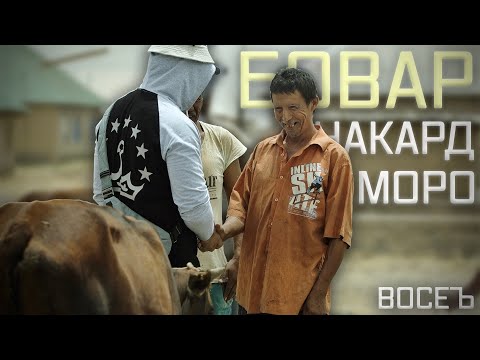 Видео: “Бигзор кам бошаду ҳалоли бошад” | “Пусть имущество будет малым, но дозволенным”