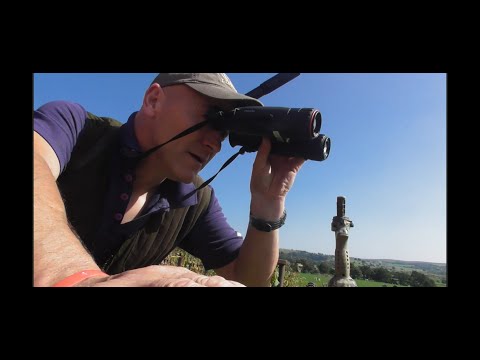 Видео: Летний контроль вредителей .22 FX King 6ppc Sako 75