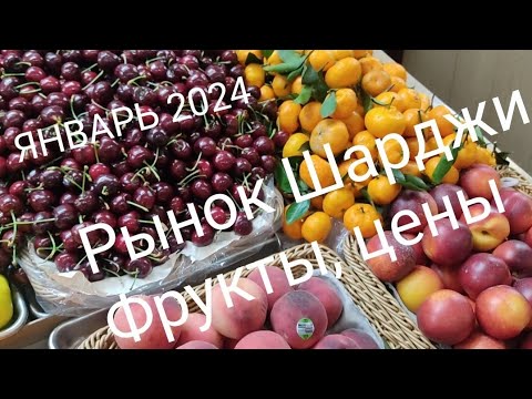 Видео: ШАРДЖА В ЯНВАРЕ 2024🇦🇪Привет море 🏖️ Рынок фруктов и рыбы 🐟🐙🍉🍓Обмен долларов 💸Наш  день 12 января 👬