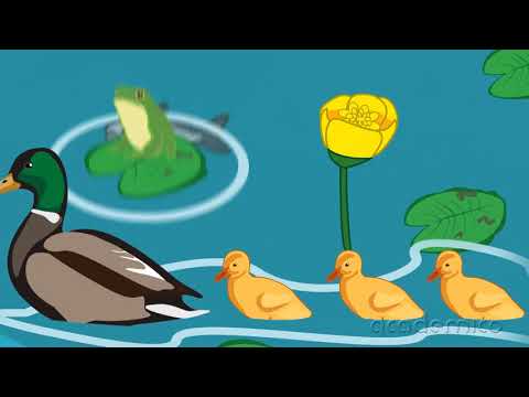 Видео: Животът в парка - Човекът и природата 4 клас | academico