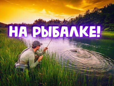 Видео: На рыбалке