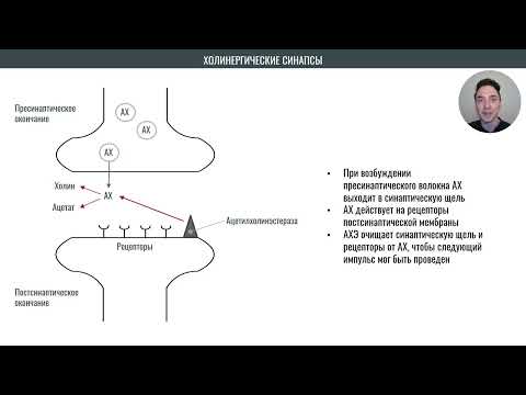 Видео: Ингибиторы ферментов