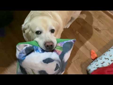 Видео: МАЖОР В ДУБАЕ 🔥 Лёгкие завтраки у мамы 🥰 Новое мороженое 🤤 Оля-мастерица 