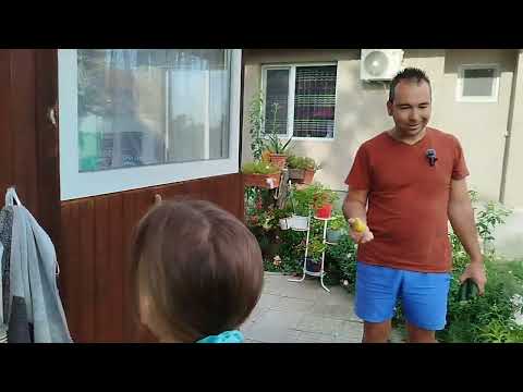 Видео: ЖИВОТ НА СЕЛО: Петъчно настроение и много КРАСТАВИЦИ