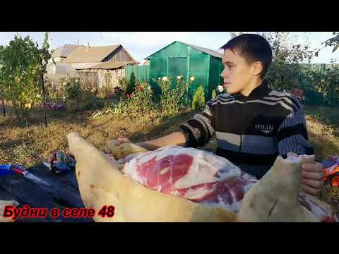 Видео: Забой вьетнамского поросёнка в 6 месяцев.// Выход мяса.