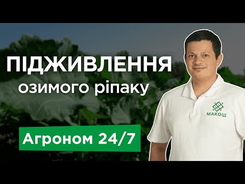 Видео: Підживлення озимого ріпаку. Азот. Сульфат амонію. Бор та марганець - Агроном 24/7