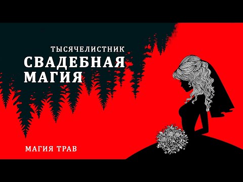 Видео: Как быстро выйти замуж? Обряд на замужество, магия трав - тысячелистник, мир и согласие в семье
