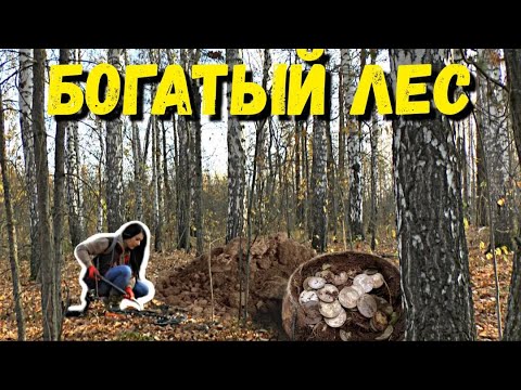 Видео: ЭТО ЧУДО - НАШЛА В ЛЕСУ МЕСТО УСЫПАННОЕ СТАРИННЫМИ РАРИТЕТАМИ