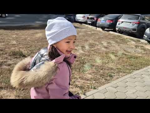 Видео: Caмакатпен қыдырамыз #рек #рекомендации  #тамикош #настя 
