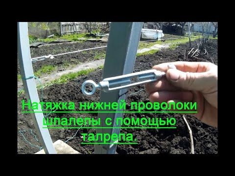 Видео: Двухплоскостная шпалера.  Натяжка нижней проволоки.