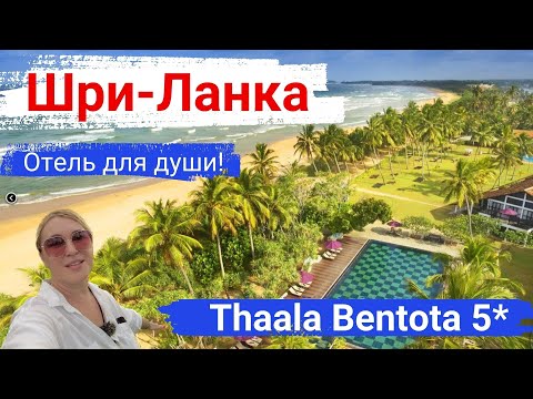 Видео: Шри-Ланка. Отель Thaala Bentota 5*. Уютный отель для души и романтического отдыха