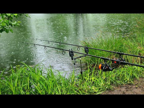 Видео: Ловля Коропа На Малій Річці. Рибалка З Ночівлею