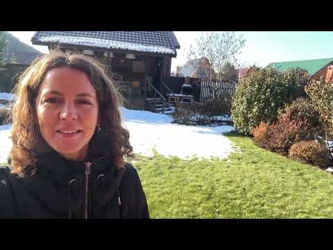 Видео: Отпускаю САД в ЗИМУ в таком состоянии!