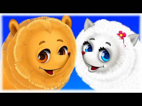 Видео: МЕГА ЗБІРКА ХІТІВ для Дітей – ПОМЕРАНСЬКИЙ ШПІЦ – З Любов'ю до Дітей Дитячі Пісні