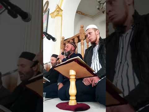 Видео: турчи на даргинском