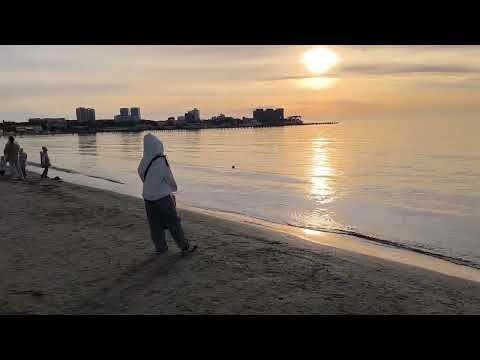 Видео: 3 ноября 2025 г.