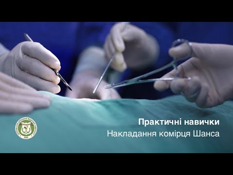 Видео: Накладання комірця Шанса