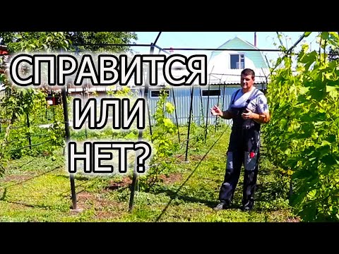 Видео: Капельный полив, ДОБРО или ЗЛО на участке?