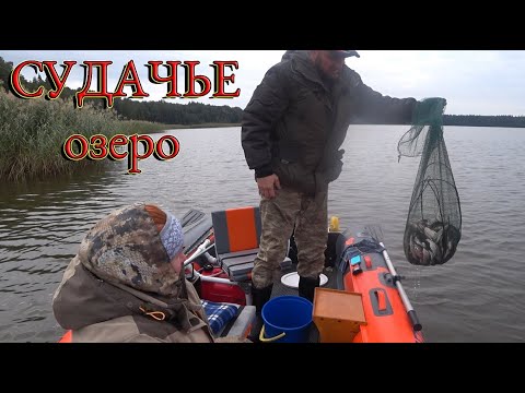 Видео: Судачье озеро.11.09.22г. Рыбалка на плотву.