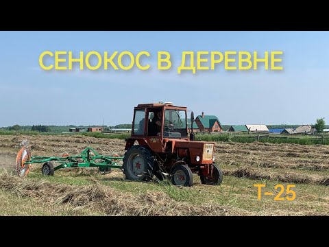 Видео: Сенокос в деревне. Т-25 с валковыми граблями.
