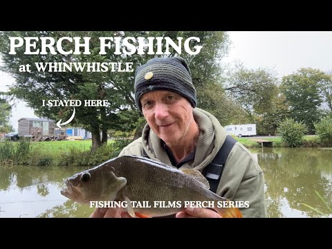 Видео: ЛОВЛЯ ОКУНЯ ВЕСОМ БОЛЕЕ 4 ФУНТОВ на озере Киперс в Уинвисле с использованием приманок «Блоб», «Ло...