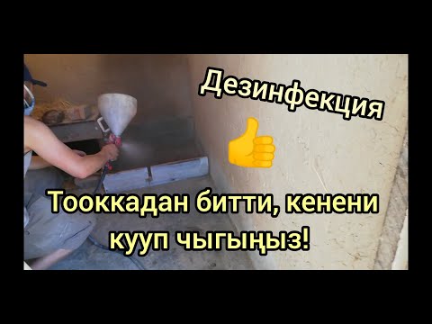 Видео: "НЕОЦИДОЛ" тооккананы дезинфекциялоо. Кене, бит ж.б кан соргучтарга каршы согуш!