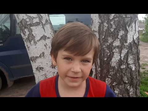 Видео: Подсадка/замена плодных маток. 05.06.2020