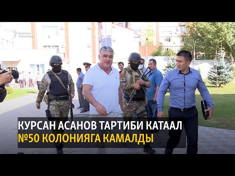 Видео: Курсан Асанов тартиби катаал №50 колонияга камалды