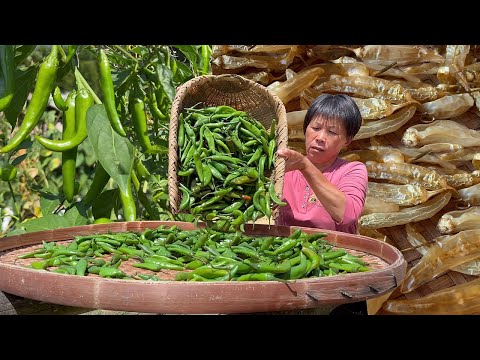 Видео: Зеленые перцы растут гроздьями, бабушка делает золотистые перцы, не острые и освежающие