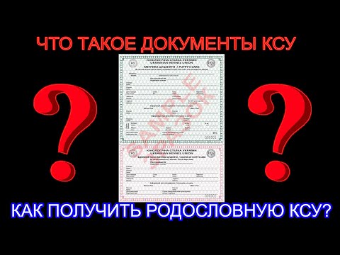 Видео: 📝🐕🐾 Что такое документы КСУ? Как получить родословную КСУ на собаку?