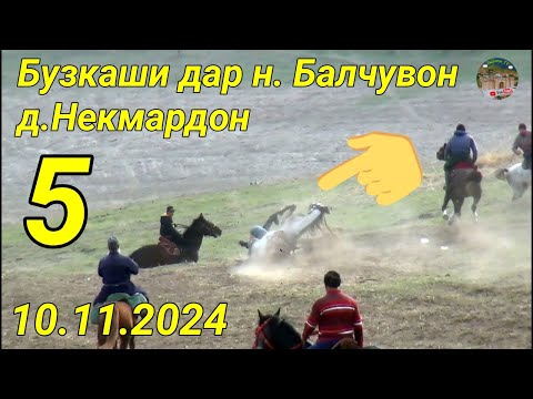 Видео: Бузкаши дар н. Балчувон д.Некмардон Кисми 5. 10.11.2024