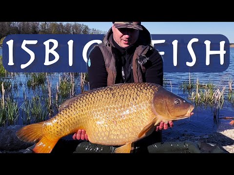 Видео: Відкриття спортивного сезону 2025. Турнір "15 Big Fish" + РОЗІГРАШ