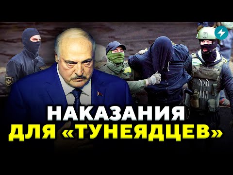 Видео: Это случилось! Новые штрафы уже введены. Кого коснётся больше всего? // Новости