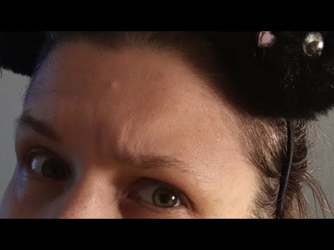 Видео: Веранда  с кошкой в прямом эфире!