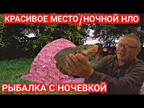 Видео: Рыбалка с Ночёвкой Осенью/Разведка Новых Мест/Один на Реке/Красивое Место и Ночной НЛО