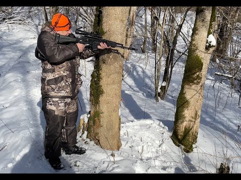 Видео: Охота на кабана с лайками, новое приключение