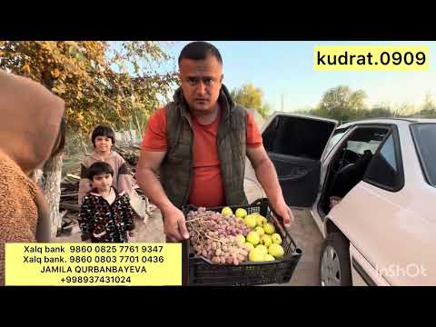 Видео: УЧ НОРАСИДА ЛОЙИХАСИ  ЯНГИСИ