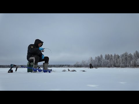 Видео: ПЕРВЫЙ ЛЁД! КЫҺЫҤҤЫ БАЛЫКТААҺЫН СЕЗОНУН АСТЫБЫТ!