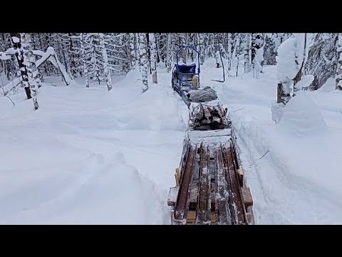 Видео: Вытаскиваю осенние находки на мотобуксировщике Бурлак М. Металлокоп.