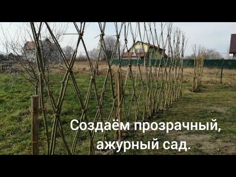 Видео: 1 марта 2024 г. Создаём прозрачный, ажурный сад.