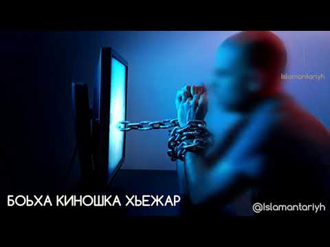 Видео: Боьха киношка хьежар