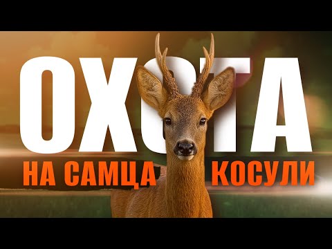 Видео: НЕВЕРОЯТНАЯ ОХОТА НА КОСУЛЮ и НА ЧТО СПОСОБНЫ ТЕПЛОВИЗОРЫ PIXFRA