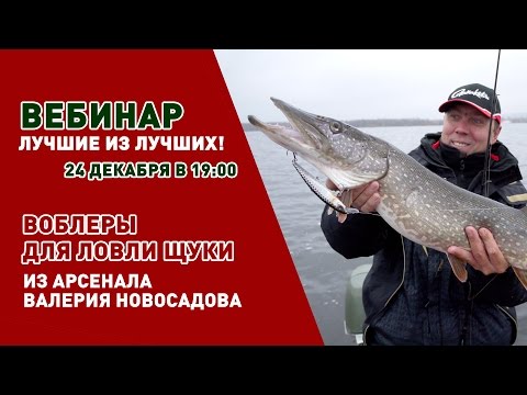 Видео: Вебинар Валерия Новосадова. Воблеры для ловли щуки.