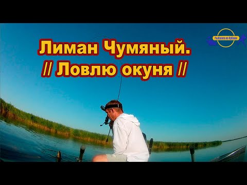 Видео: Лиман Чумяный.  // Ловлю окуня  /// Рыбалка на Кубани 2024 /// Выпуск № 41
