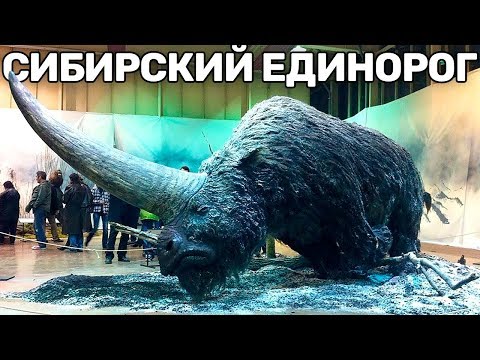 Видео: 10 Вымерших Животных, Которых Воскресят в Скором Времени