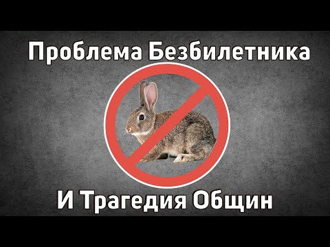 Видео: Проблема безбилетника и трагедия общин