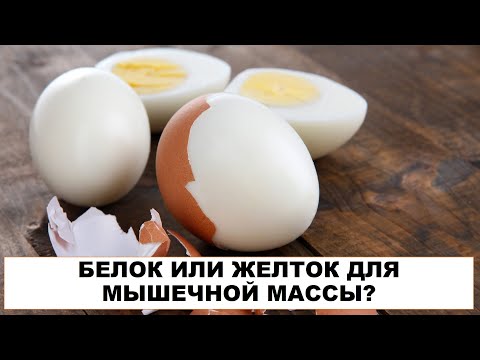 Видео: лекция: БЕЛОК ИЛИ ЖЕЛТОК ДЛЯ МЫШЕЧНОЙ МАССЫ?