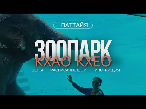 Видео: ПОЛНЫЙ ОБЗОР ЗООПАРКА КХАО КХЕО. СЕКРЕТЫ ПОСЕЩЕНИЯ😱 #кхаокхео #таиланд2024 #зоопарк #лайфхак